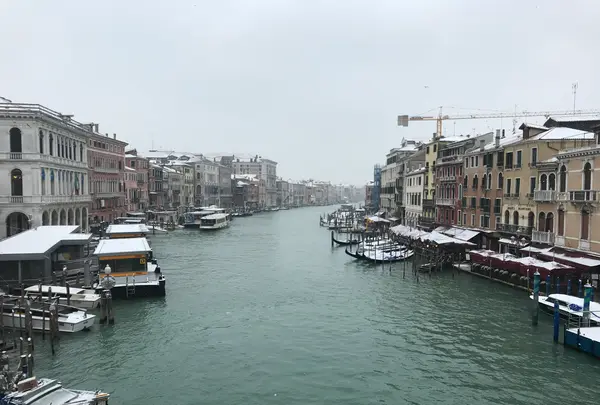 Ponte di Rialto （リアルト橋）の写真・動画_image_469566