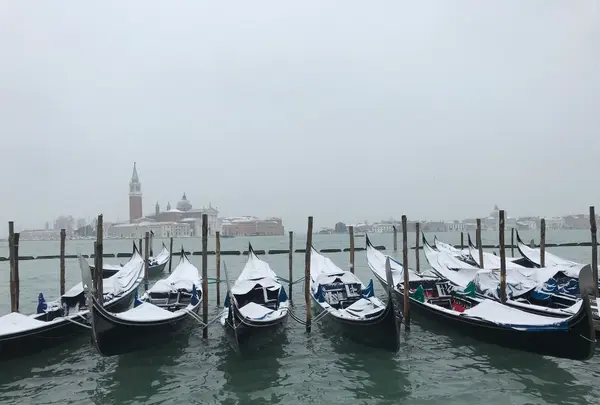 Palazzo Ducale （ドゥカーレ宮殿）の写真・動画_image_469568