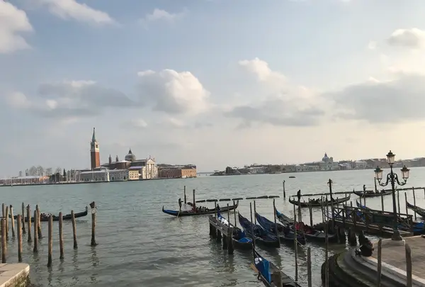 Palazzo Ducale （ドゥカーレ宮殿）の写真・動画_image_469570