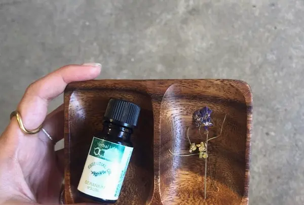 アカオハーブ＆ローズガーデンの写真・動画_image_469649