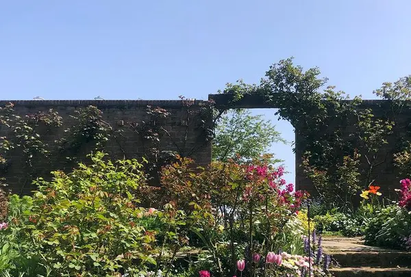 アカオハーブ＆ローズガーデンの写真・動画_image_469650