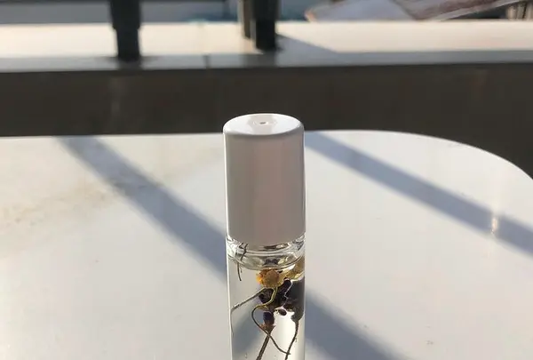 アカオハーブ＆ローズガーデンの写真・動画_image_469651