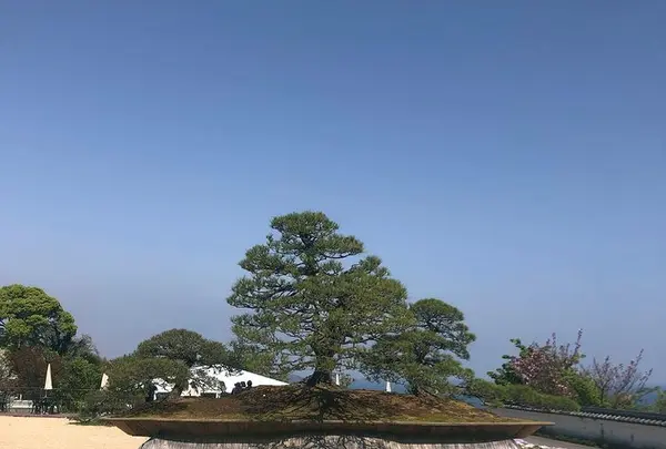 アカオハーブ＆ローズガーデンの写真・動画_image_469653