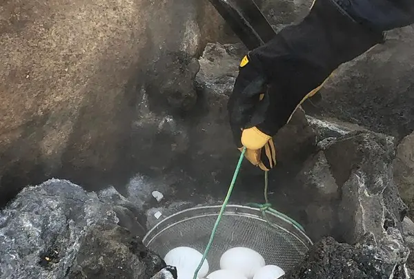 小沢の湯の写真・動画_image_469666