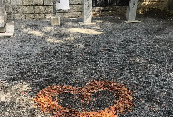 來宮神社の写真・動画_image_469668