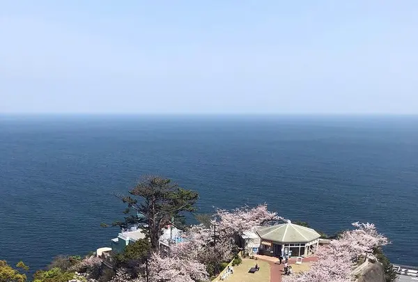 熱海城の写真・動画_image_469688