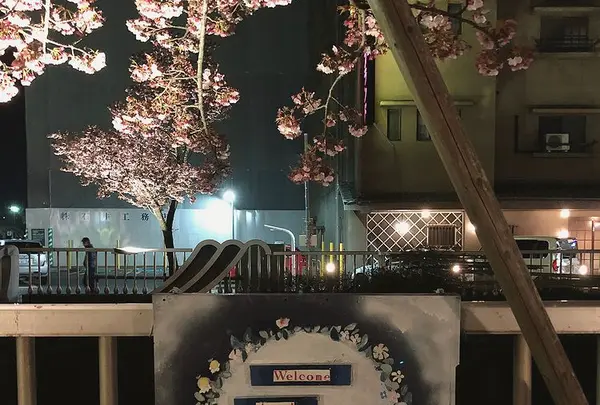 熱海銀座の写真・動画_image_469735