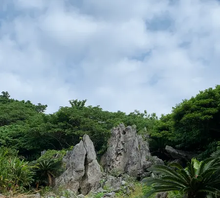 大石林山の写真・動画_image_470008