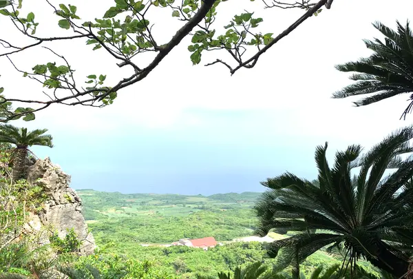 大石林山の写真・動画_image_470009