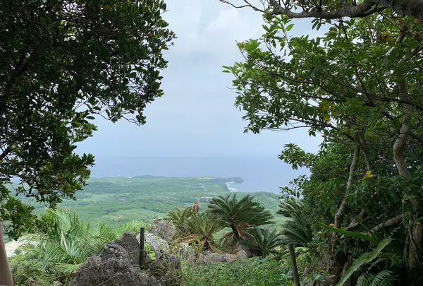 大石林山の写真・動画_image_470010