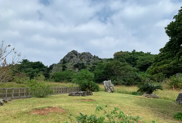 大石林山の写真・動画_image_470011
