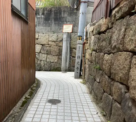 文学のこみちの写真・動画_image_470167