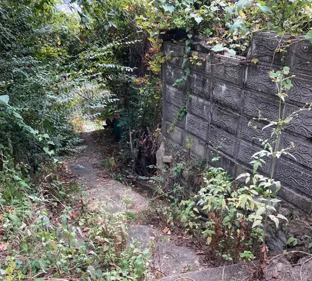 文学のこみちの写真・動画_image_470174