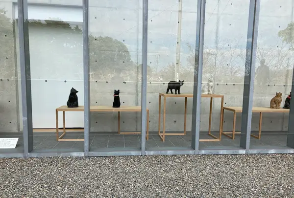 尾道市立美術館の写真・動画_image_470179