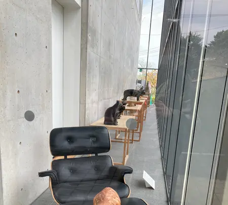尾道市立美術館の写真・動画_image_470180