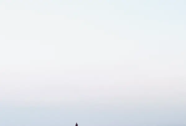 さんふらわあの写真・動画_image_470532