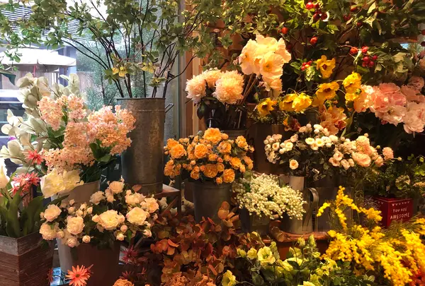 Cafe Hay Feverの写真・動画_image_470562