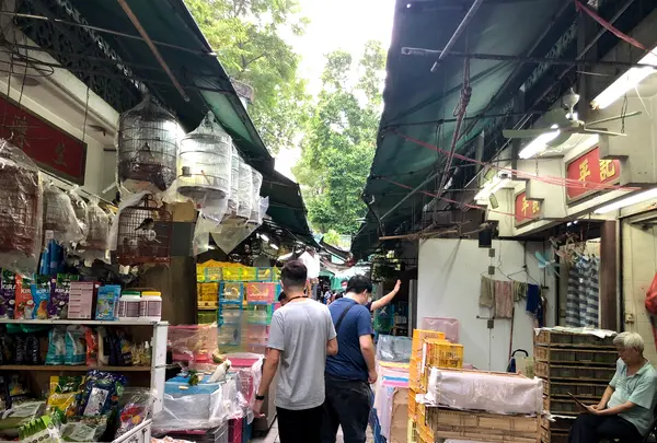 Yuen Po Street Bird Gardenの写真・動画_image_470571