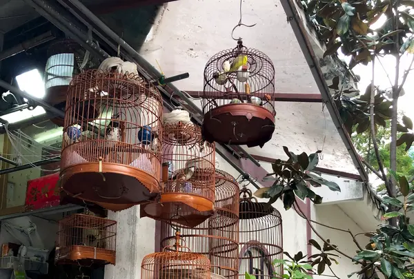 Yuen Po Street Bird Gardenの写真・動画_image_470572