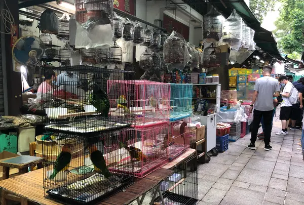 Yuen Po Street Bird Gardenの写真・動画_image_470574