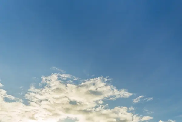 西桟橋の写真・動画_image_470583