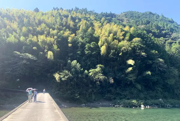 浅尾(あそお)沈下橋の写真・動画_image_470675