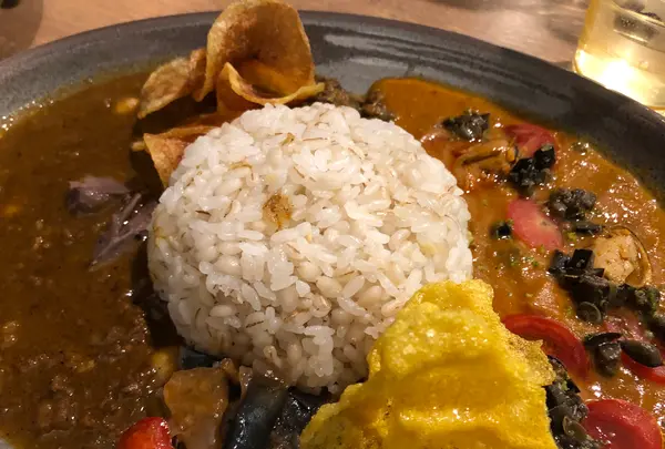 カレープラントの写真・動画_image_470862