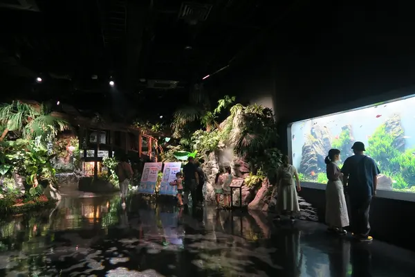 DMMかりゆし水族館の写真・動画_image_471131