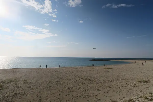 豊崎海浜公園 美らSUNビーチの写真・動画_image_471175