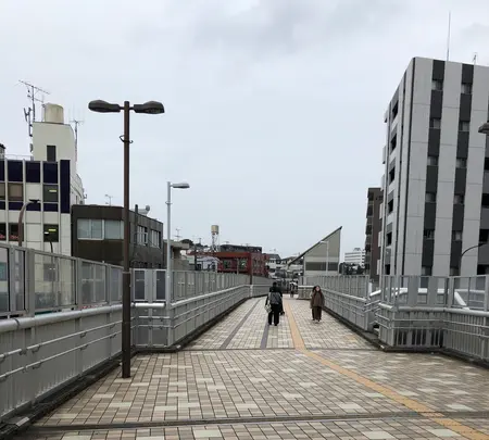 フラワー緑道　反町橋の写真・動画_image_471243