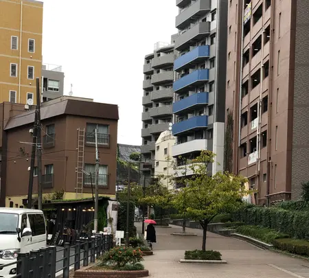 東横フラワー緑道の写真・動画_image_471249