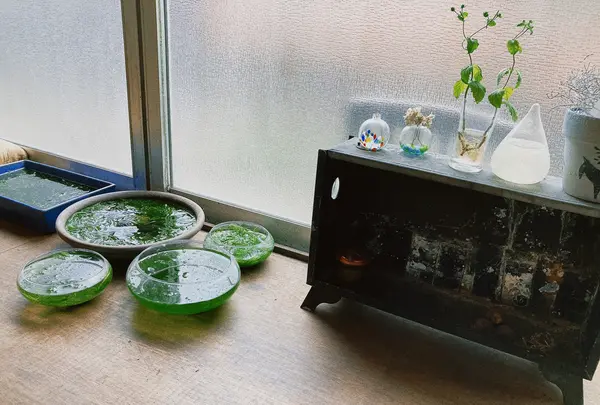 ごはんと珈琲アルトの写真・動画_image_471314