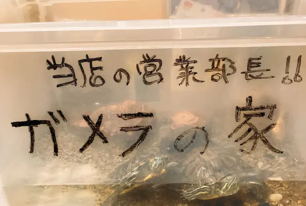 尾道ラーメン 喰海の写真・動画_image_471442