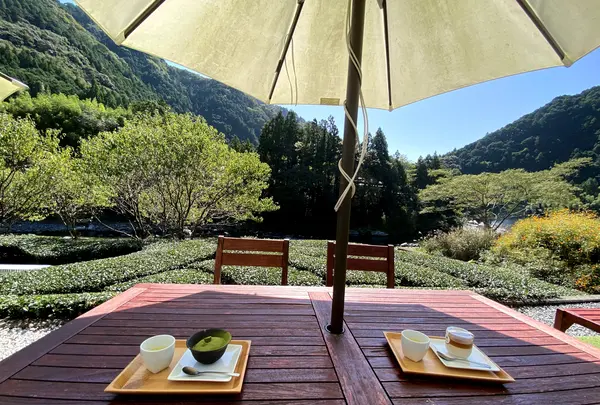 池川茶園 工房 Cafeの写真・動画_image_471510