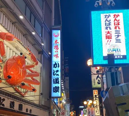 道頓堀の写真・動画_image_471587