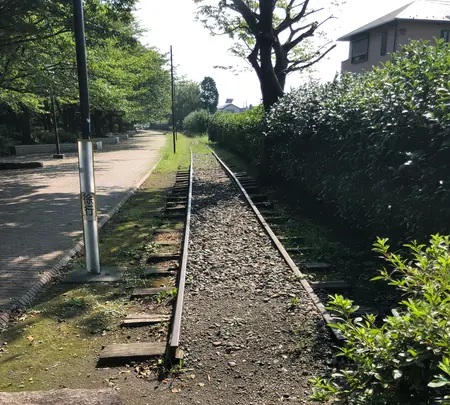 一之宮公園の写真・動画_image_471819