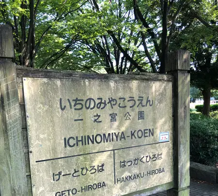 一之宮公園の写真・動画_image_471820