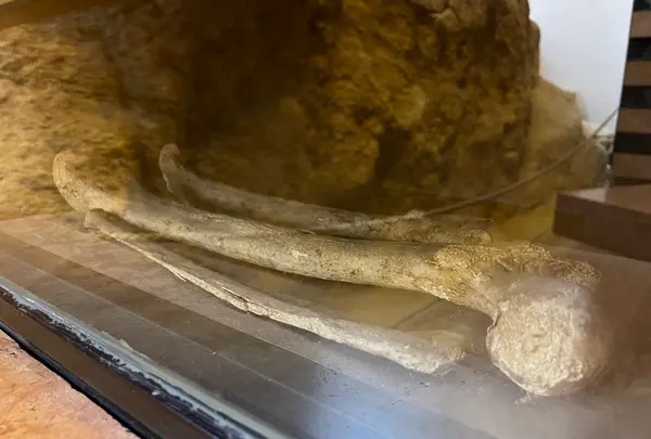 聖ポール天主堂跡（Ruins of St. Paul's）の写真・動画_image_472001