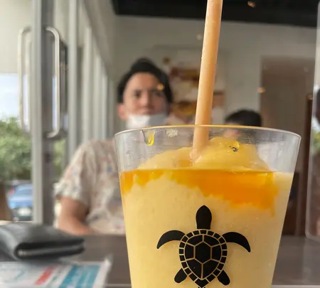 ブルータートル[Blue Turtle]の写真・動画_image_472115