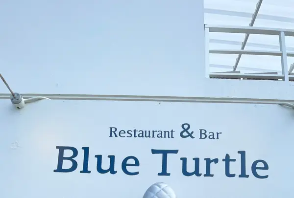 ブルータートル[Blue Turtle]の写真・動画_image_472116