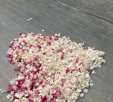 ユートピアファーム宮古島の写真・動画_image_472117