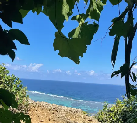 三角点の写真・動画_image_472132