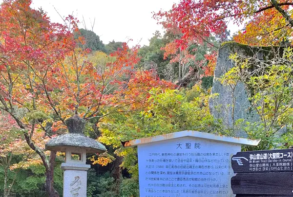 大聖院の写真・動画_image_472173