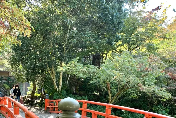 紅葉谷公園の写真・動画_image_472183
