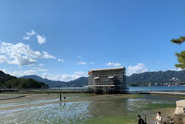 宮島（厳島）の写真・動画_image_472221