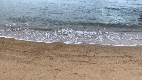 三原市すなみ海浜公園の写真・動画_image_472363