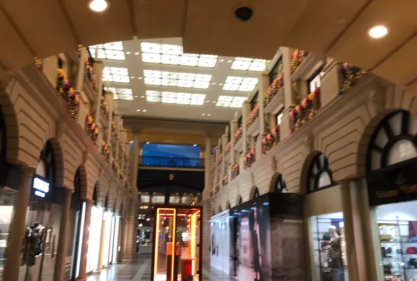 The Parisian Macaoの写真・動画_image_472392