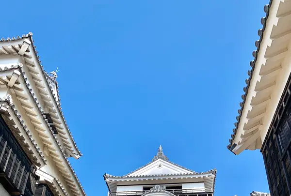 松山城の写真・動画_image_472481