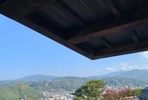 松山城の写真・動画_image_472482