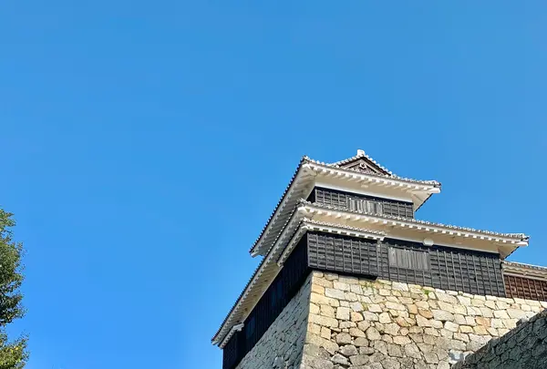 松山城の写真・動画_image_472484